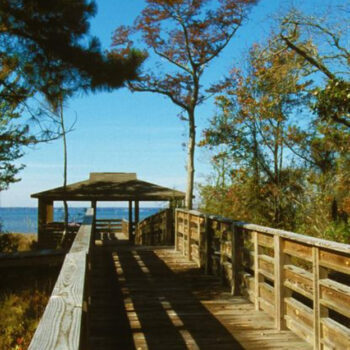 Secret North Carolina Lakes Where Locals Spend Summer Weekends