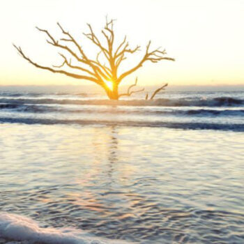 South Carolina’s Edisto Beach: A Coastal Town Where Time Stands Still
