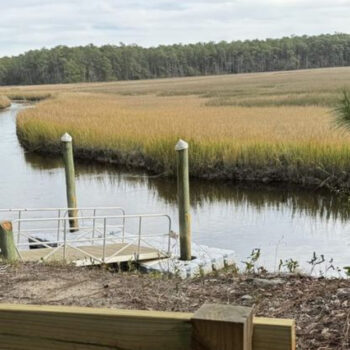 South Carolina's Quiet Fishing Village Feels Like a Movie Set
