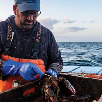 Stonington, Maine: America's Busiest Lobster Port