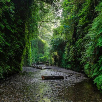 Studies Show Popular California Views Are Overrated - 87% Miss These 19 Gems