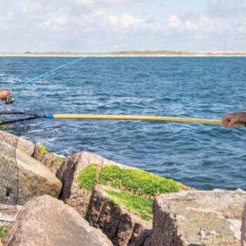 Texas' San José Island: An Underrated Gulf Coast Paradise with Pristine Waters, Secluded Beaches, and Abundant Wildlife