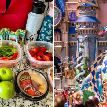 The 17 Best Disney Parks Tips I’ve Ever Gotten (and Still Use Today)