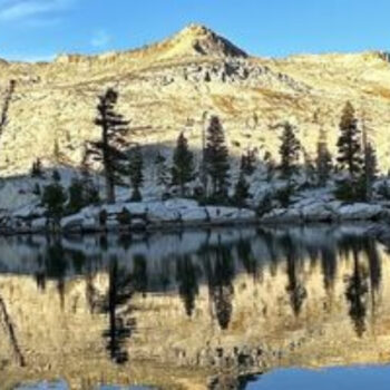 The 30 Most Beautiful National Forests To Visit In America, Ranked