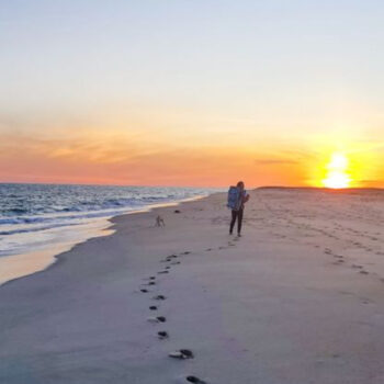 The Hidden Truth About These 21 East Coast Beaches Nobody Talks About
