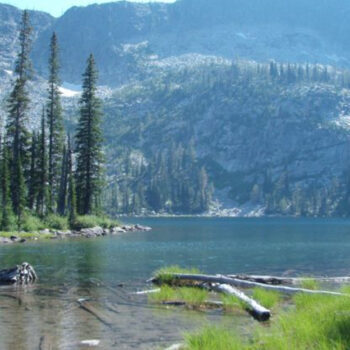 The Idaho Forest Campground That’s Free - If You Can Find It