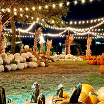 The Kansas Town Where Fall Means Scarecrow Festivals
