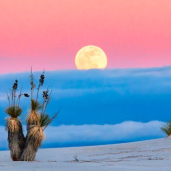 The Most Spectacular New Mexico Spots According to Local Adventure Guides