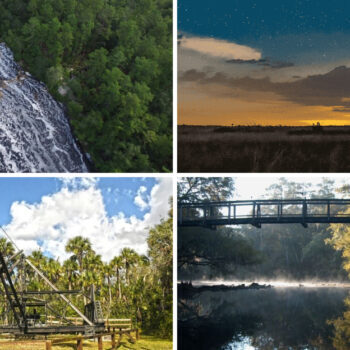 The Most Underrated State Parks In Florida