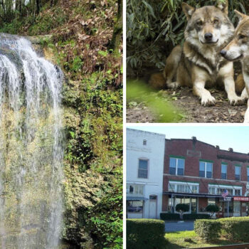 The Tiny Florida Town With the State's Largest Waterfall and Playful Wolves