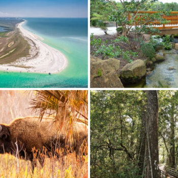 These 19 Florida Places Have Zero Tourist Lines - The Views Will Amaze You