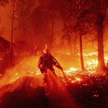 These 21 Devastating Home Disasters Reveal Nature's Hidden Power — What Experts Don't Tell You