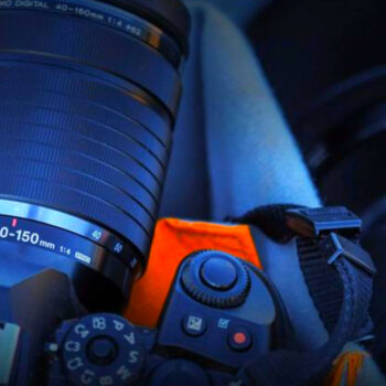 These 6 Zoom Lenses Are Surprisingly Sharp for the Price