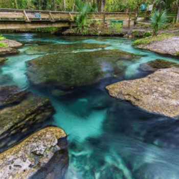 This 3,000-foot lazy river in Florida is the ultimate way to relax in summer