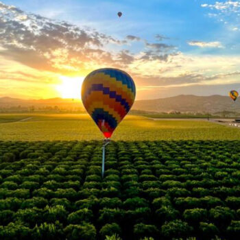 This Lesser-Known California Town Is Between Los Angeles and San Diego and Is Known as Southern California's Premier Wine Destination
