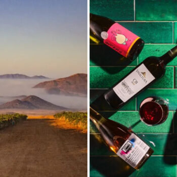 This Mexican Wine Region Is Quietly Becoming the New Tuscany — 19 Reasons Why