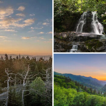 This Quiet Tennessee Town in the Smokies Is Full of Scenic Views
