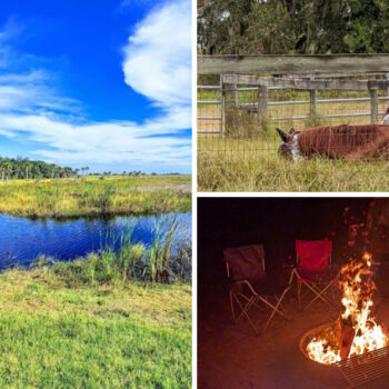 This under-the-radar Florida state park is one of the best stargazing spots in the entire country