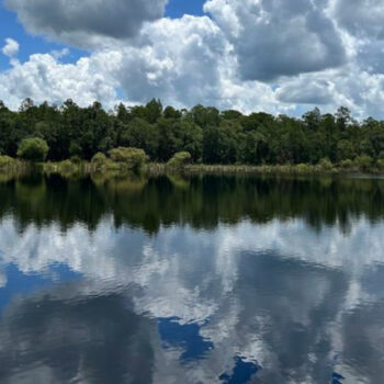 This under-the-radar Florida state park is well worth the trip