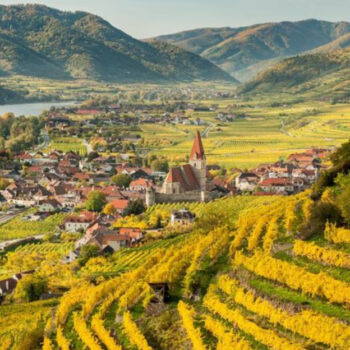 Top 10 Wine Regions to Explore in Europe (That Aren't in France)