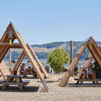 Top 7 Oyster Bars to Visit in Washington State