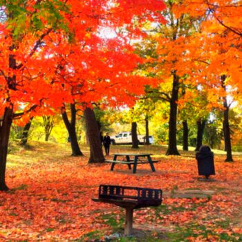 Virginia: A Riverside Fall Getaway Full of History, Color, and Small-Town Charm