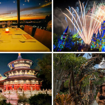 Visiting Disney World as an Empty Nester? These 15 Tips Made It Magical for Me and My Husband