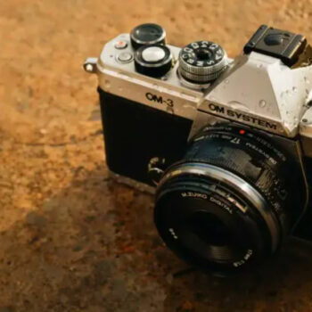 We Compared Cameras for Nature Walks – These 6 Captured the Calm