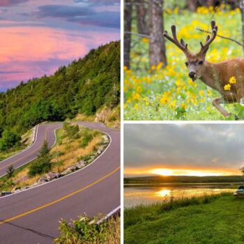 We Rented an RV for the First Time This Summer — 15 Things That Made the Trip Unforgettable
