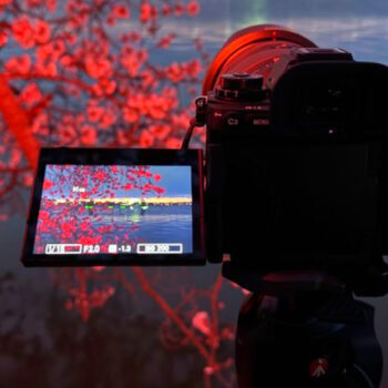 We Tested 20 Cameras in Quiet Places - These 12 Made Stillness Work