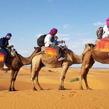 What No One Tells You About Traveling to Morocco (But Should!)