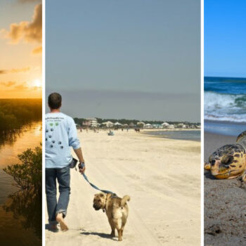 What Tourists Need To Know About Florida's New Law Before Planning A Beach Getaway