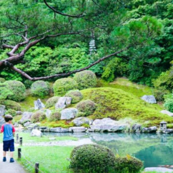 Why Families Are Choosing Japan for Their First International Trip