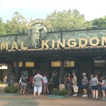 Disney Pandora Animal Kingdom