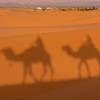 Morocco trip budget shadows on Sahara dunes