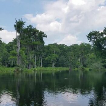 This Massive Florida Spring Is One of the Deepest Freshwater Holes on the Whole Planet