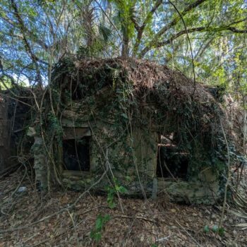 There's an Abandoned Florida Village of Tiny Elf Houses, and Nobody Can Explain Why