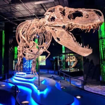 The Adults-Only Arizona Science Center Night That Turns Learning Into A Real Date Night
