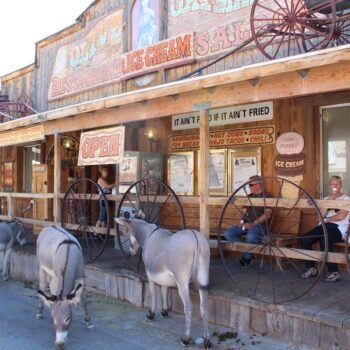 Wild Donkeys Wander The Streets Of This Quirky Arizona Ghost Town Where The Old West Never Left