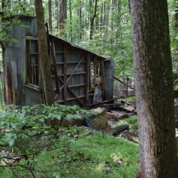 Deep In The Maryland Woods, The Quiet Ruins Of An Old Gold Mine Still Stand Where Hardly Anyone Wanders