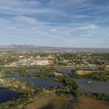 Over 300 Bird Species Flock To This Unexpected Desert Oasis Right Outside Gilbert, Arizona