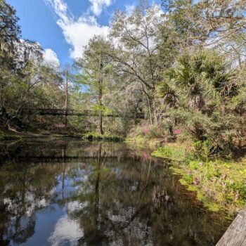 A Millionaire Gave This Small Florida Town 300 Acres in 1911, and It's Still Free to Explore