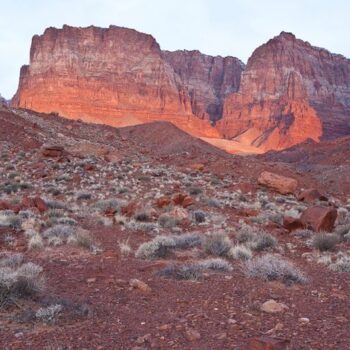 Hikers Swear The Wave-Like Sandstone At Vermilion Cliffs Rivals Anything In Utah