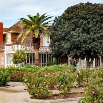 This Glendale, Arizona Park Lets Peacocks Strut Past 19th-Century Farmhouses And Blooming Rose Gardens