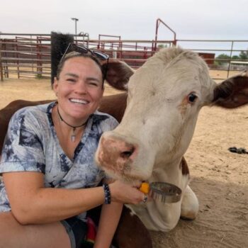 This Arizona Sanctuary Lets You Hug Rescued Cows And Rub Pig Bellies All Afternoon