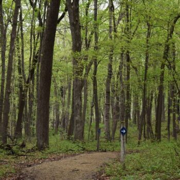 Minnesota's Rolling Prairie Hides Quiet Kettle Lakes The Glaciers Left Behind, And Most Visitors Never Slow Down For Them