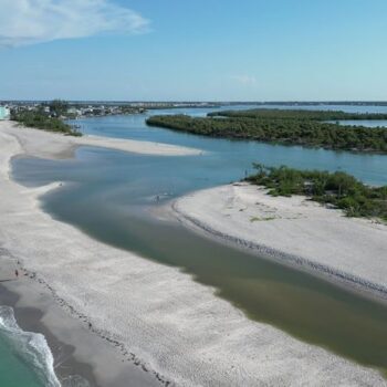 This Hidden Florida Beach Has Shark Teeth Washing Up Like Tiny Black Treasures