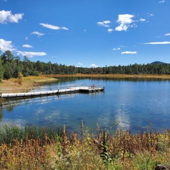 Seven Arizona Spots Where Fall Color Turns The Desert Into Something Out Of Vermont