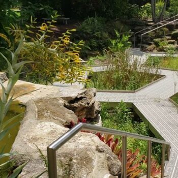 Just Up the Road From Miami, Mounts Botanical Garden Lets You Walk a Floating Wetland Path