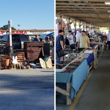 What Twenty Dollars Buys at Webster's Giant Monday Flea Market Near Tampa
